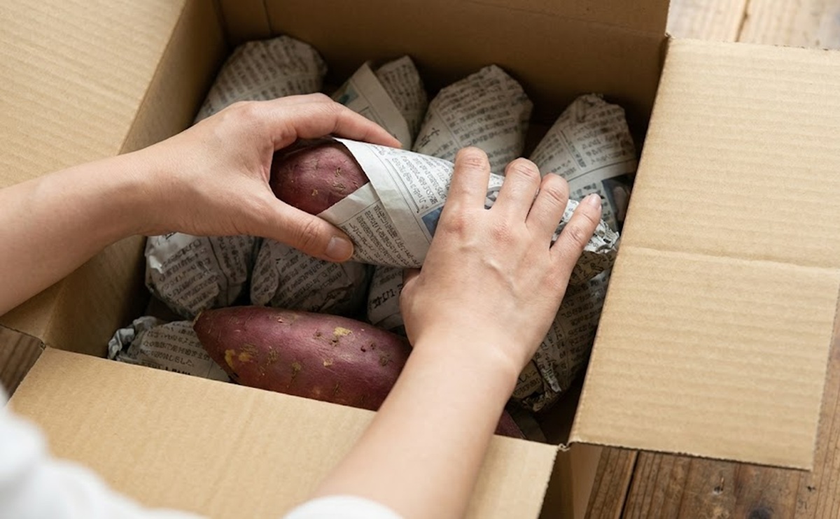 新聞紙と段ボールでさつまいもの乾燥を防ぐ